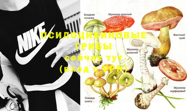 гашик Арсеньев
