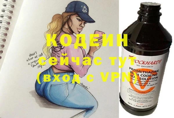 гашик Арсеньев