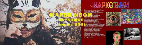 гашик Арсеньев