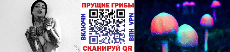мега ONION  Тара  Галлюциногенные грибы Cubensis 
